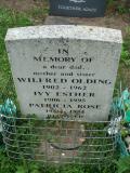image of grave number 124488